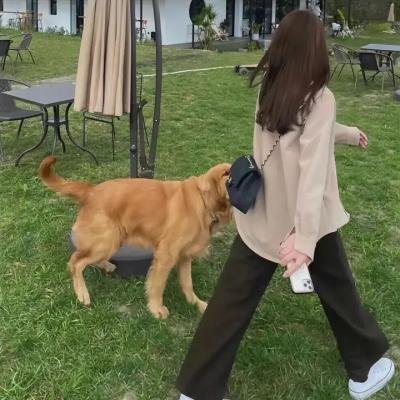 不许动